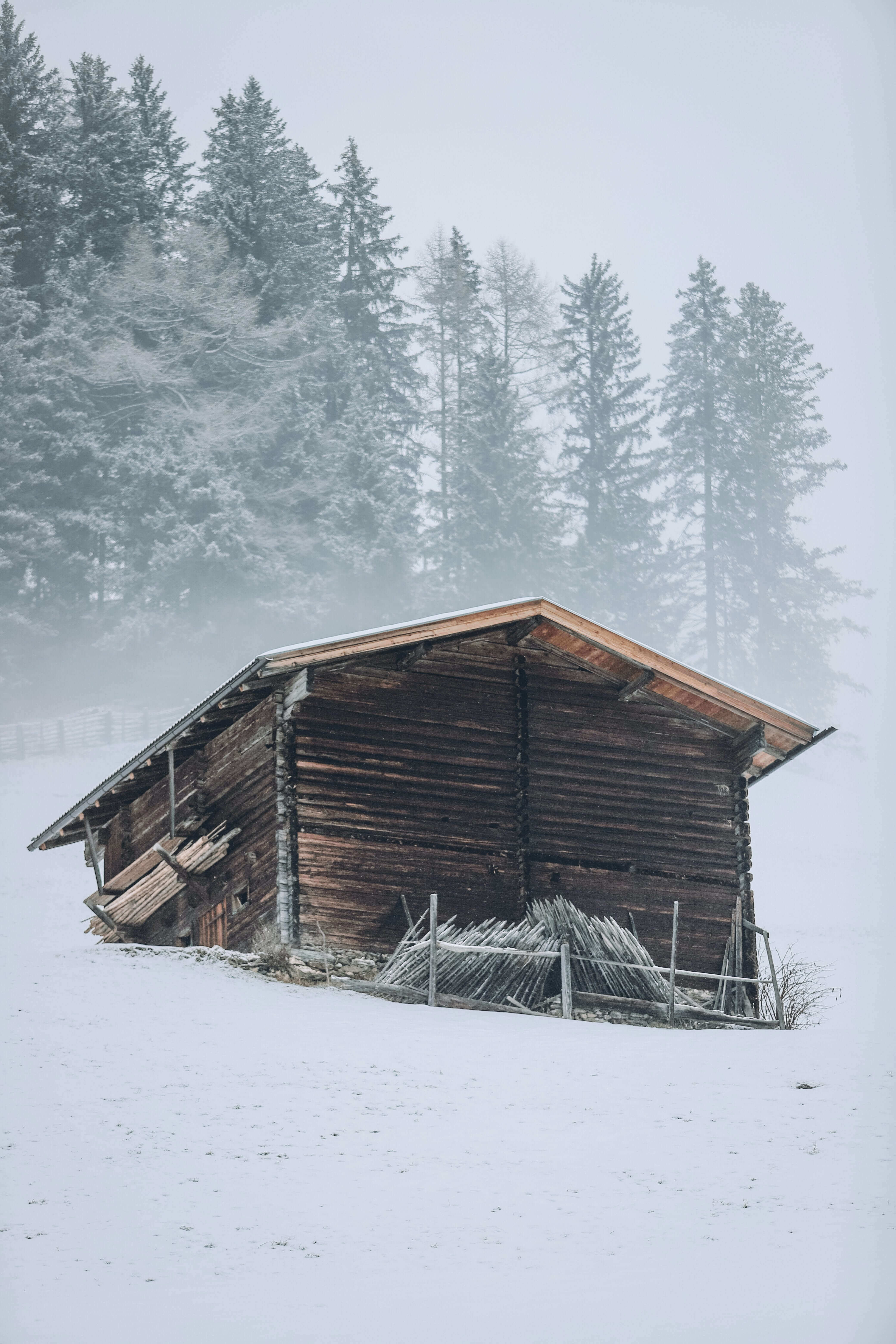 Photo by Moritz Feldman